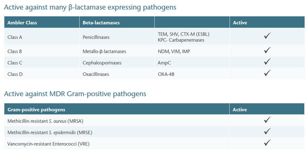 Effective against a wide range of pathogens