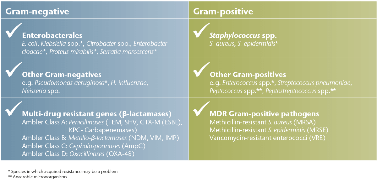 Broad-spectrum antibiotic