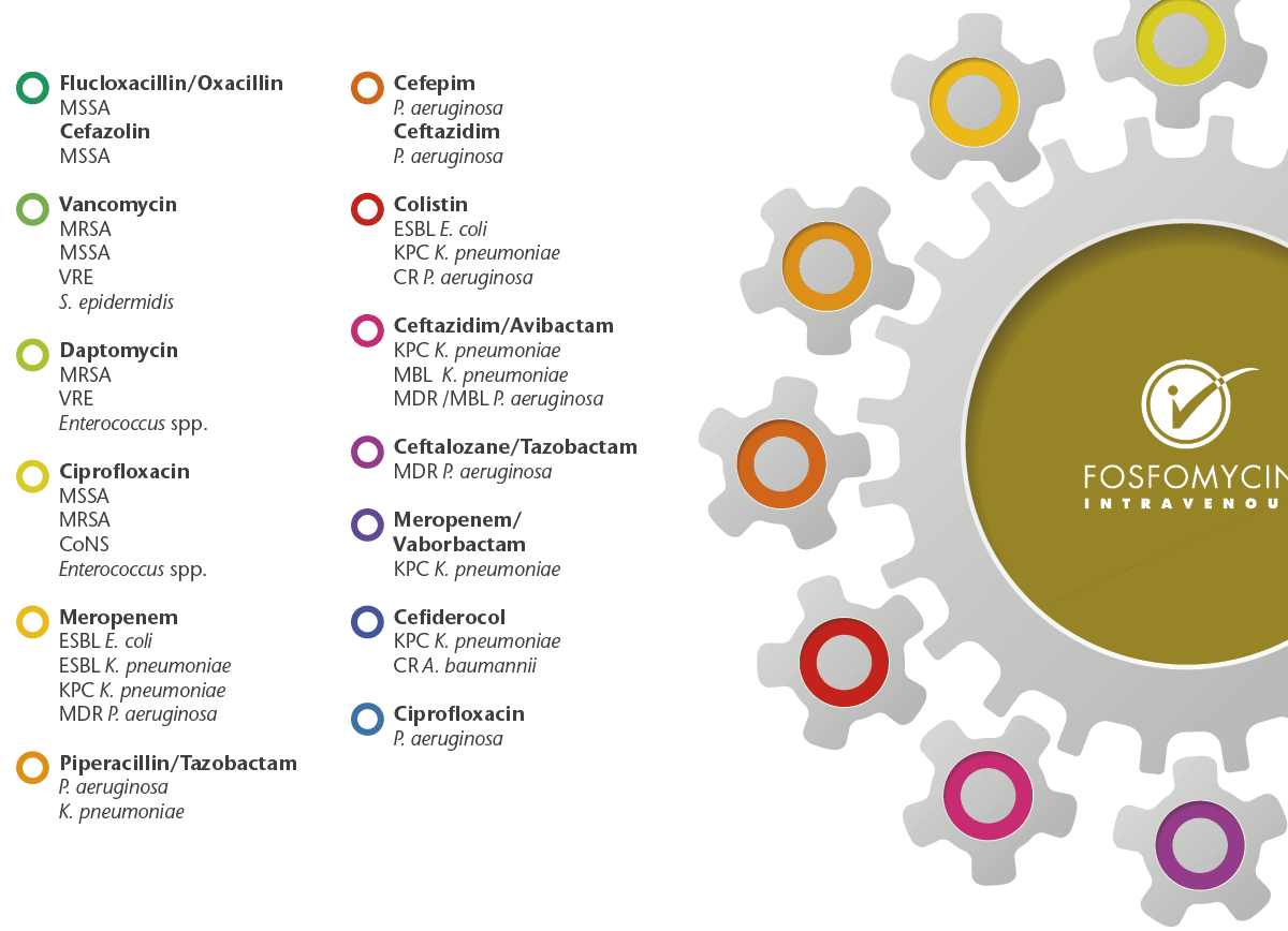 Synergistic activity of IV Fosfomycin 